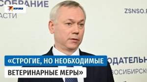 Забой скота в Новосибирской области: губернатор Травников рассказал о компенсациях