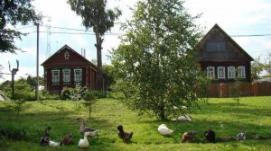 «ОБМАНУТАЯ ДЕРЕВНЯ». . История  тронет до глубины души.