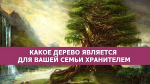 Тайны деревьев-хранителей: как растения защищали род