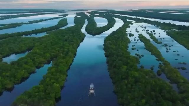 В Южной Америке НАШЛИ ТО ЧТО НЕ ДОЛЖНО СУЩЕСТВОВАТЬ