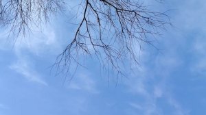 Утренняя солнечная прогулка на речке ( 19 марта)