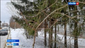 Сегодня на крайнем северо-востоке республики ожидаются сильный снег и усиление ветра