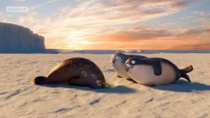 Мультфильм Взгляд Тюленя (Sealook). Этот тюлень мастер Битбокса. Серия 2