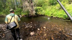 Спускаемся вниз по Тайге. Ищем Лучшие Рыбные Места. Рыбацкая Охота. Рыбалка 2026 на Рутубе Онлайн