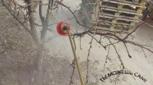 Инструкция: Как опрыскать дерево ранней Весной. Расход литров на одно дерево