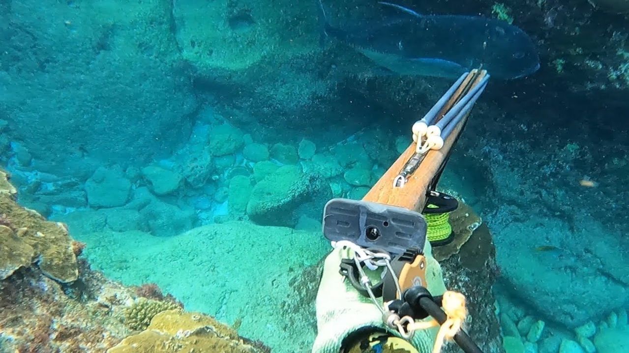 Подводная охота /  Определенно лучшее! Мне попалась огромная каранксовая рыба!