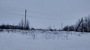 Гулять❓Здорово❗Встретить  кого - то еще лучше❗🌺👍