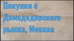 Покупки с Домодедовского рынка, Москва