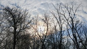 Идём смотреть речку, 19 марта