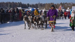 Северные состязания: праздник оленеводов в Шурышкарском районе | Тут султам