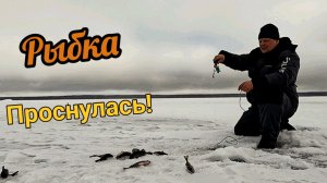 Мартовский окунь рвёт снасти! зимняя рыбалка