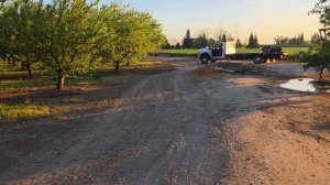 1000126744.mp4 Из 300 маточников не вышло только 23