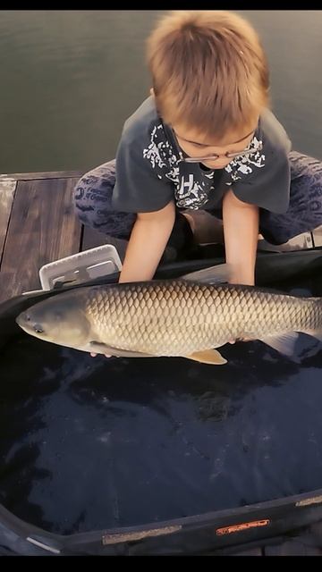 Сынок это амур