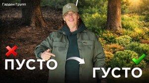 Пустые приствольные круги? Вот ЧТО там растет вместо сорняков!