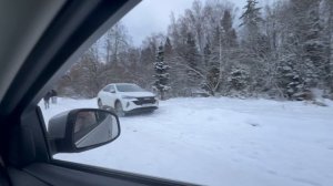 Красота . Еловый лес как из сказке загородом во Владимировской области
