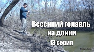 Весенний голавль на донки. 13 серия. На куриную печень! Мимо неё голавль не пройдет! Активный клев!
