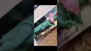 моя распаковка бронтозавра малыша и Дилофоза