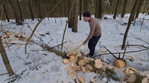 08.03.26 ПОРУБАС (2)