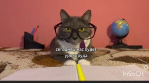 Жиза KOTIYᑎᗴT