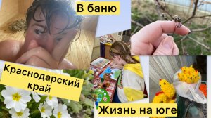 Переезд на юг. Успеть везде. Лилии живы. Персик на старте. Пюре из яблок. В баню отдыхать.