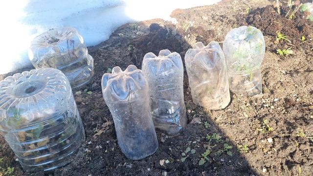 Актуальное видио!