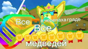 Всё в черепахограде