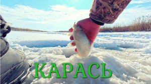 РЫБАЛКА на КАРАСЯ!!Секрет зимней ловли серебряного!!!