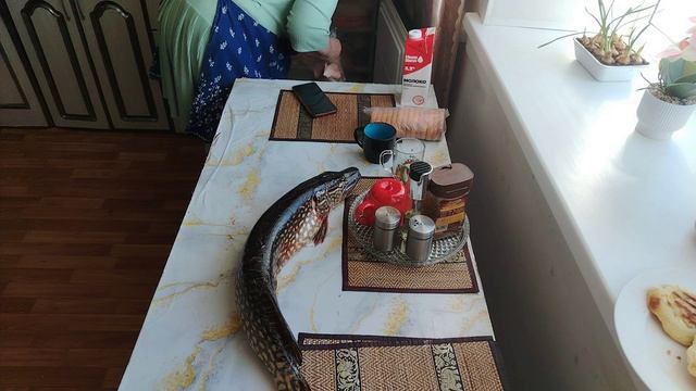 ДЕРЕВЕНСКИЕ БУДНИ.