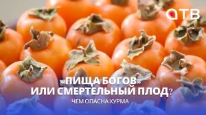 «Пища богов» или смертельный плод? Чем опасна хурма