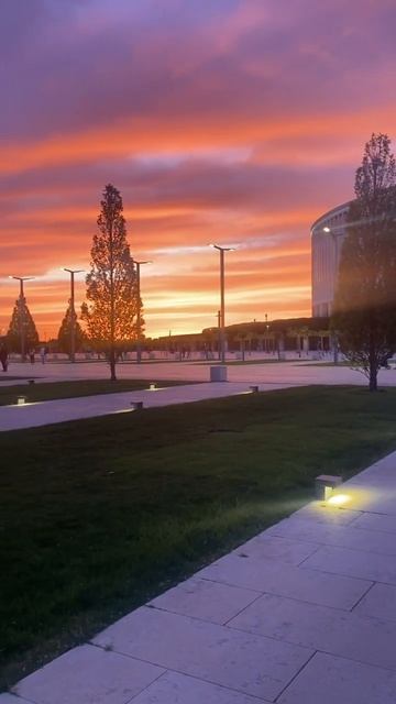 Невероятный закат у стадиона Галицкого #краснодар #respect #shotrs #паркгалицкого #стадионкраснодар