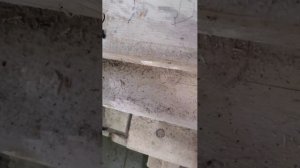 Егор72к СССР