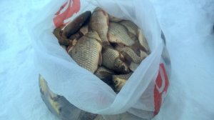 РАДИ ТАКОЙ РЫБАЛКИ СТОИТ ВЫЕЗД НА ВОДОЕМ. РАЗВЕДКА ВОДОЕМА