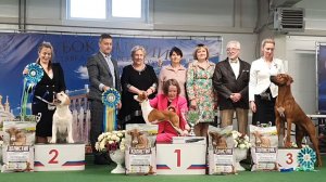 28.02.2026, СПб. Клуб "СПАРС" (РКФ, РФСС). Выставка собак "КУБОК БАЛТИИ" (САС, ЧФ)