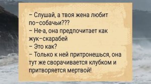 Задеру_юбку,_а_ему_спущу_брюки!АНЕКДОТЫ_ДЛЯ_ВЗРОСЛЫХ_#анекдоты_