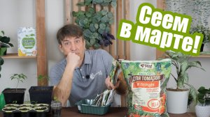 Эти культуры нужно посеять в марте! Что посадить на рассаду в марте