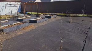 Наш участок! Как мы в прошлом году грядки устанавливали! Собачки резвятся, сирень цветёт! Красота!😍