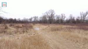 Яблоневый сад высадят в столице Хакасии: свои кроны он раскинет почти на двух гектарах