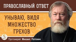 "Унываю, видя множество грехов".  Протоиерей Михаил Потокин
