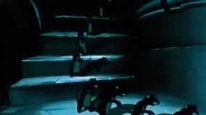 Политика Трампа за 10 секунд