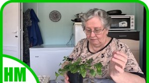 19 марта. Ответы на вопросы. Жду вашего совета и подтверждения.