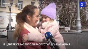 В центре Севастополя распустилась магнолия