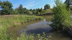 ЛОВЛЯ РЫБЫ НА КРЮЧОК В САРАТОВСКОЙ ОБЛАСТИ