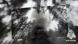 Пожарно-тактические учения