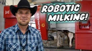 Канадская семья в НН.. Inside a Robotic Dairy Farm | Barn Tour with Arend How Milking Robots Work