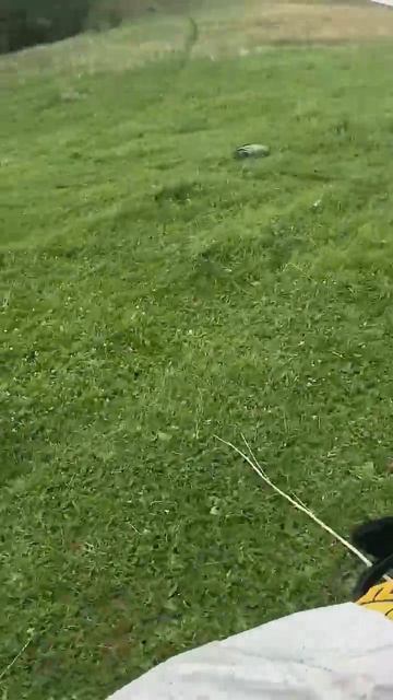 13 июня 2025 г.