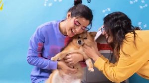 Я построил секретную комнату для питомцев за спиной у отца