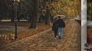 ДОЖДЬ И Я. Легендарная песня советской молодежи. Без этой песни не обходилась ни одна дискотека