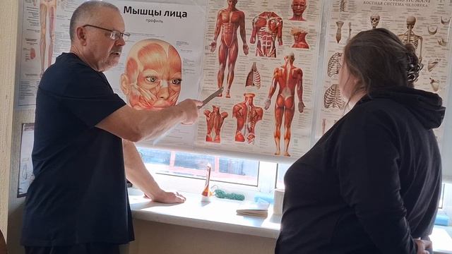 Просто об анатомии