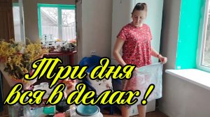 Ейск ! Едем в газовую, написали заявление, разные домашние дела, спиливаем ветки шелковицы !