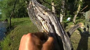 video_2026-03-19_17-44-27